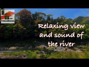 Read more about the article Relaxing view and sound of the river love you too see